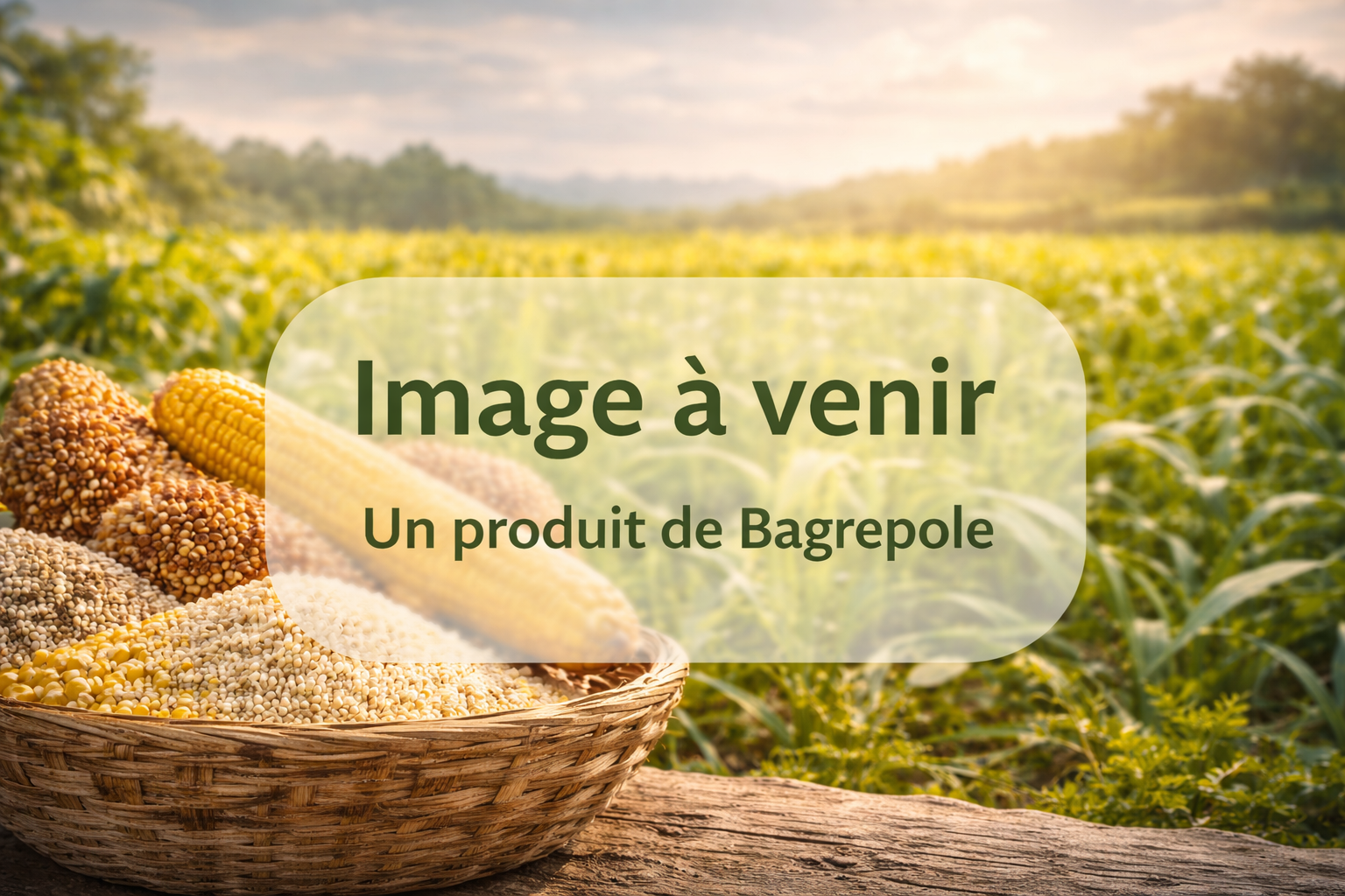 Chargement des produits
